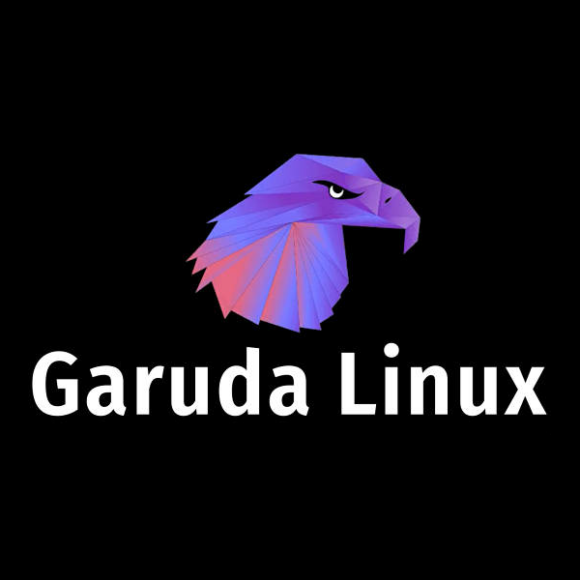 Garuda KDE Dr460nized Gaming Edition Linux live with 64GB USB Stick