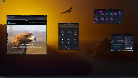 Garuda Cinnamon Linux live with 64GB USB Stick