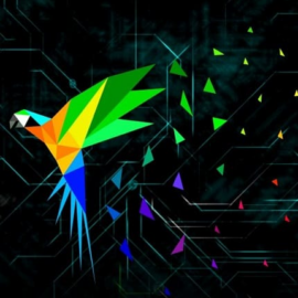 Parrot Security Linux -Security Edition- Persistent live with 64GB or 128GB USB Stick or, 250GB NVMe